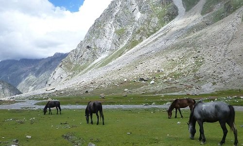 Day 4: Shea Gahru to Chhatru Day 4: Shea Gahru to Chhatru