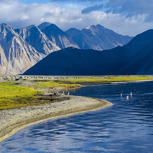 Ladakh Nubra Pangong Tso Moriri Kargil Tour Ladakh Nubra Pangong Tso Moriri Kargil Tour