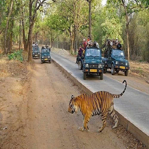 Rajasthan with Jaipur and Ranthambore Rajasthan with Jaipur and Ranthambore