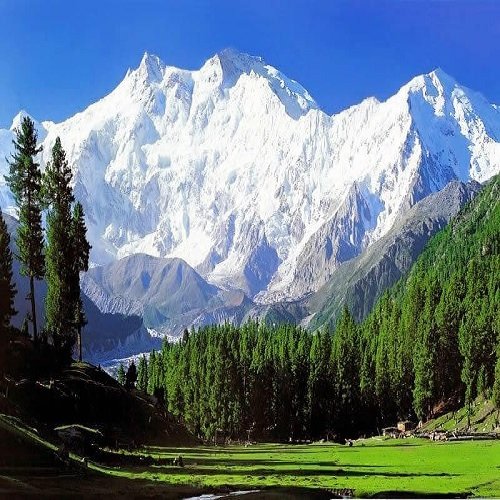 Kashmir Sonmarg Gulmarg Pahalgam Package Kashmir Sonmarg Gulmarg Pahalgam Package